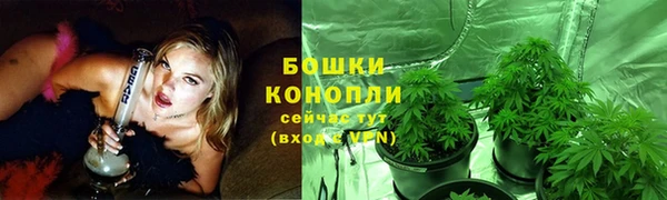 PSILOCYBIN Арсеньев